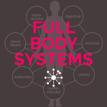 Full-Body-Systems